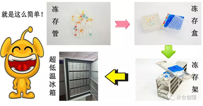 樣本凍存解決方案之凍存架、凍存盒、凍存管
