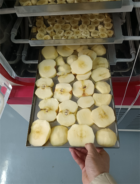 使用化妝品凍干機對面膜進行凍干具體有哪些步驟？