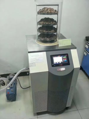 實(shí)驗室凍干機(jī)2.jpg